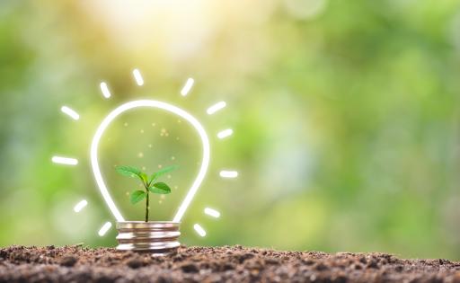 Sustainable Energy Light bulb